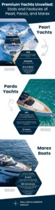 MMG infographic