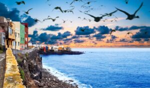 yacht charter mallorca